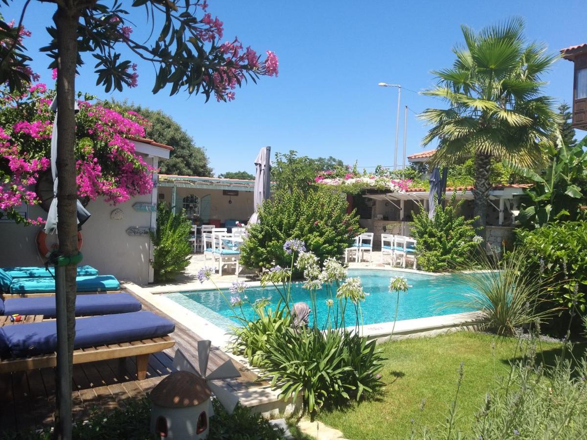 Cassiopeia Hotel อาเลอเจอติ ภายนอก รูปภาพ